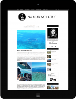 Content for No Mud No Lotus